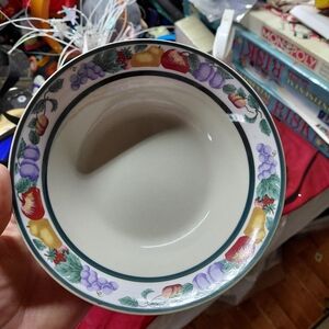 Fujifilm Multicolor Fruit Design Bowl